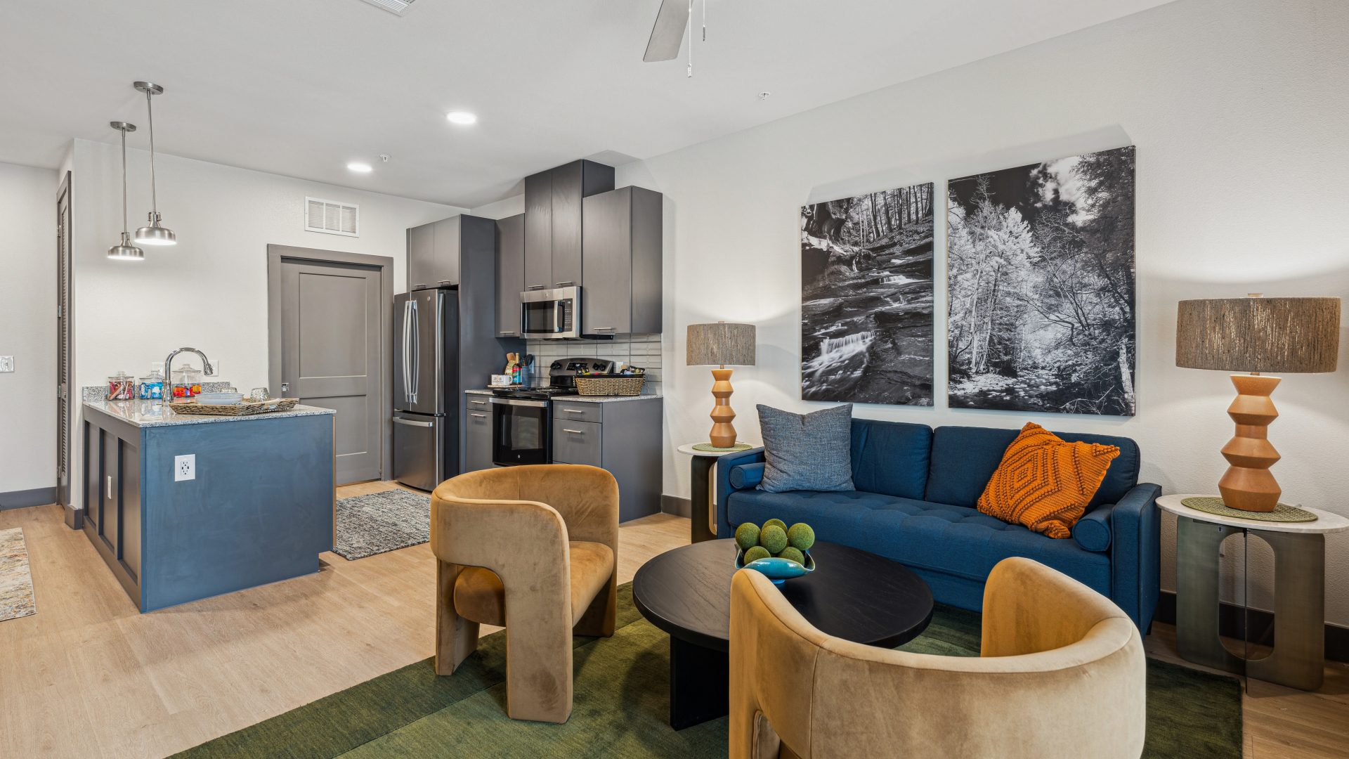 Modern Apartment Living in New Braunfels