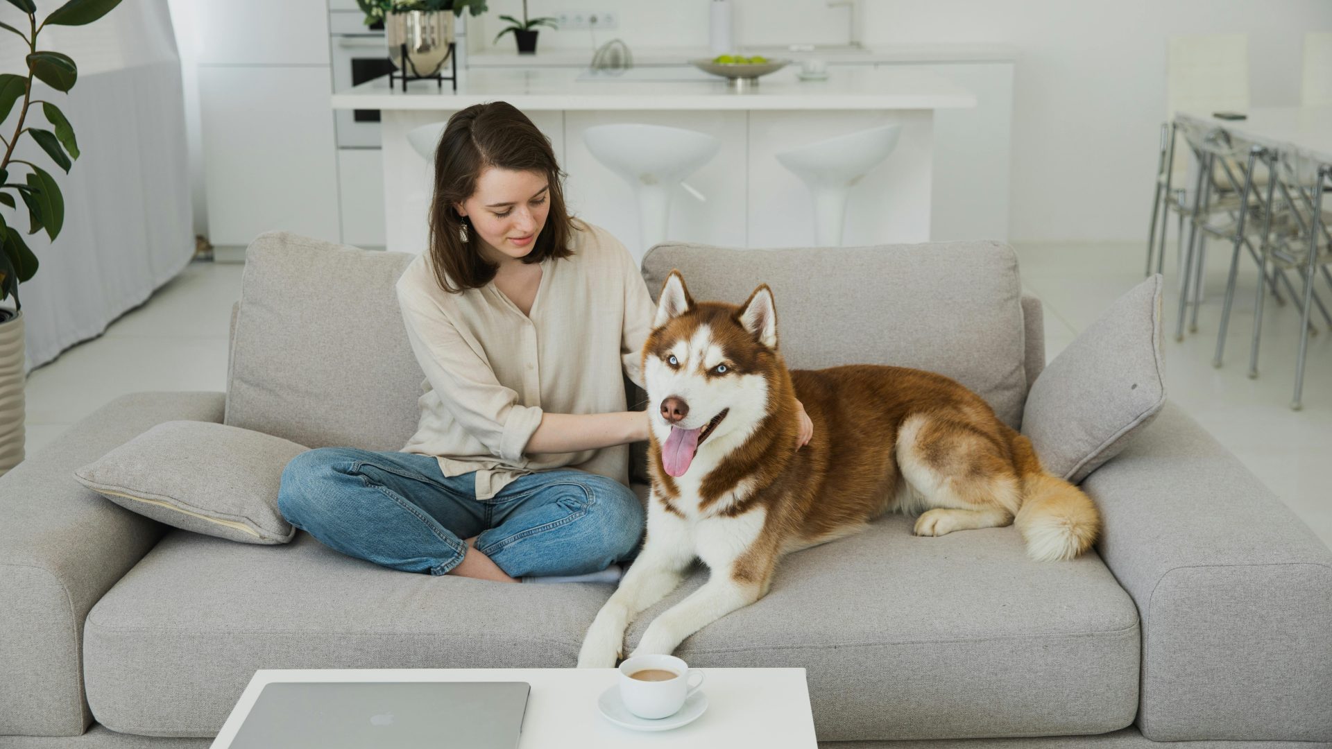 a woman sitting on a couch with a husky dog at The Legacy at Veramendi
